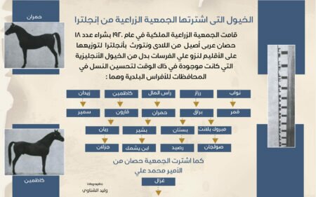 الخيول التي اشترتها الجمعية الزراعية من إنجلترا