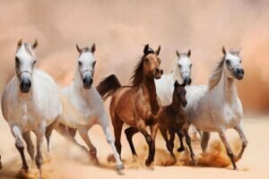 الخيل سداد من الفقر
